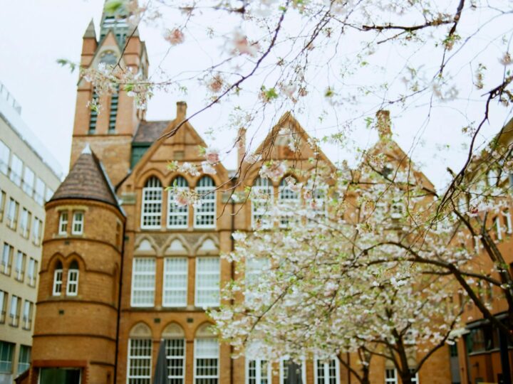 Centro Nacional de Vida Marinha de Birmingham